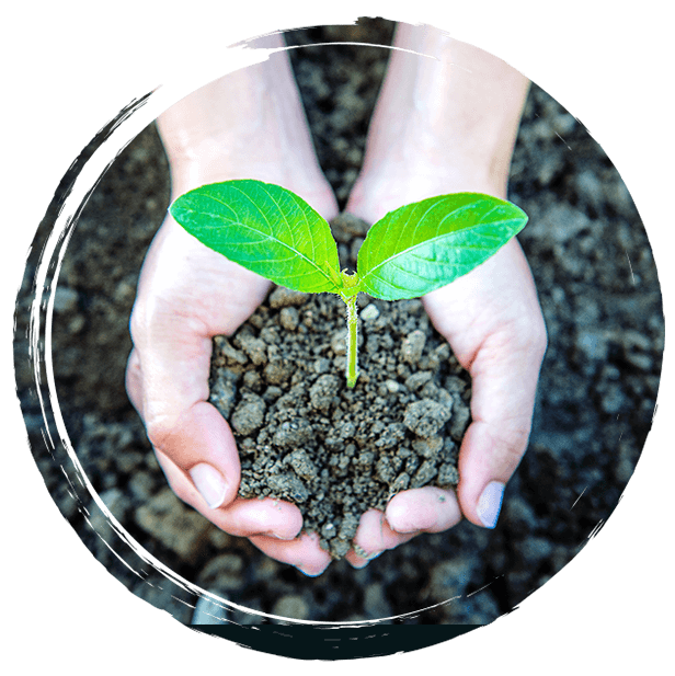 Save the Planet